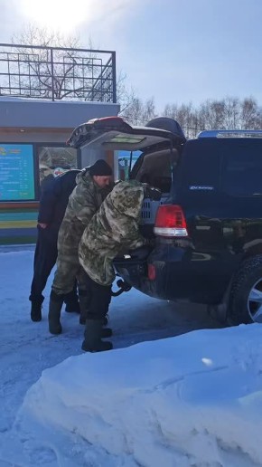 Кенгуренок Беннетта из барнаульского зоопарка переезжает в зоопарк поселка Артыбаш