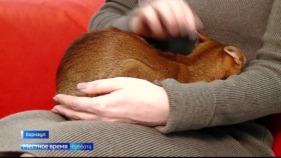 ������ � ������ ����� �������� ���� �����