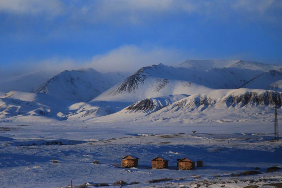 ������� �������� ���� ����������� � ���������� �����