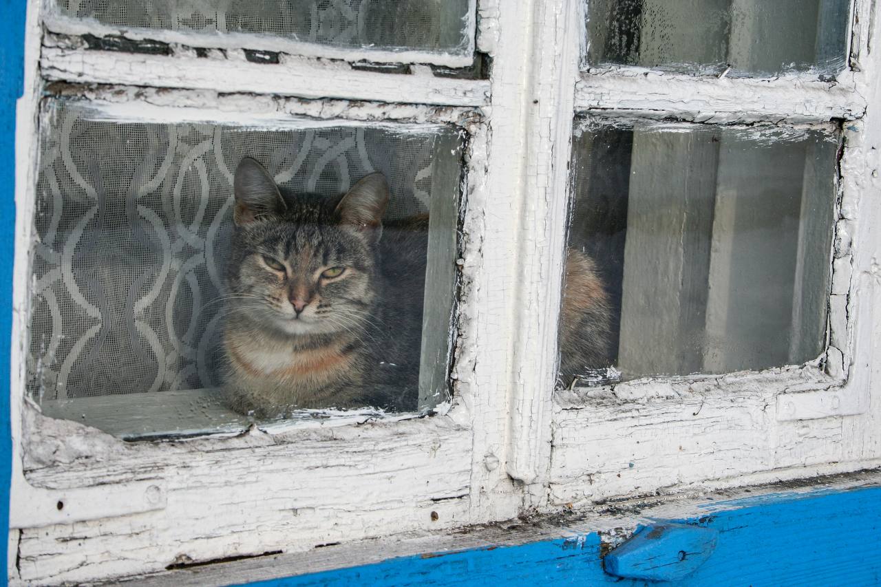 С первым днём весны, Алтайский край! С первым днём весны, Алтайский край!