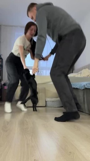 ������ ����, ��������� ����!