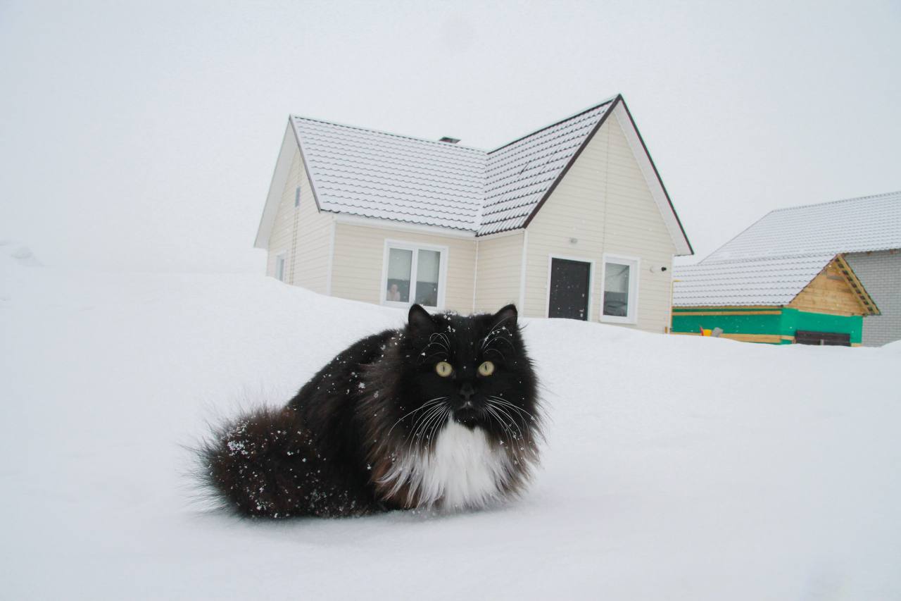 С первым днём весны, Алтайский край! С первым днём весны, Алтайский край!