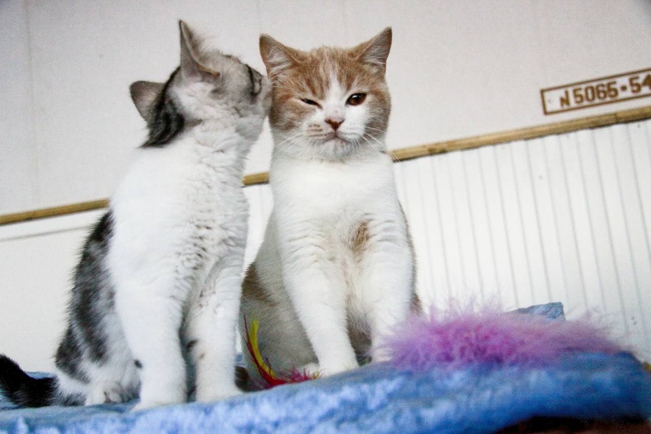 С первым днём весны, Алтайский край! С первым днём весны, Алтайский край!