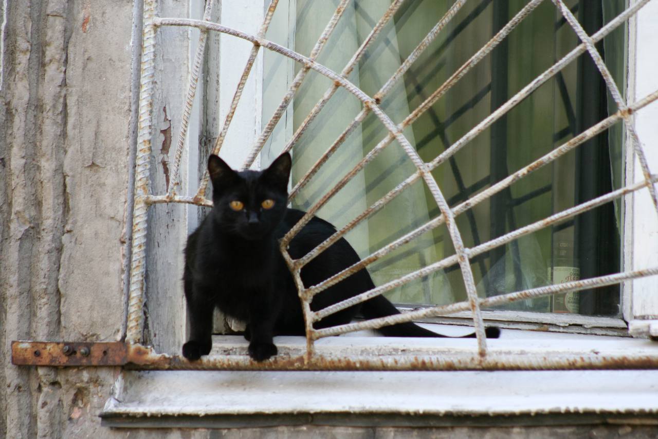 С первым днём весны, Алтайский край! С первым днём весны, Алтайский край!