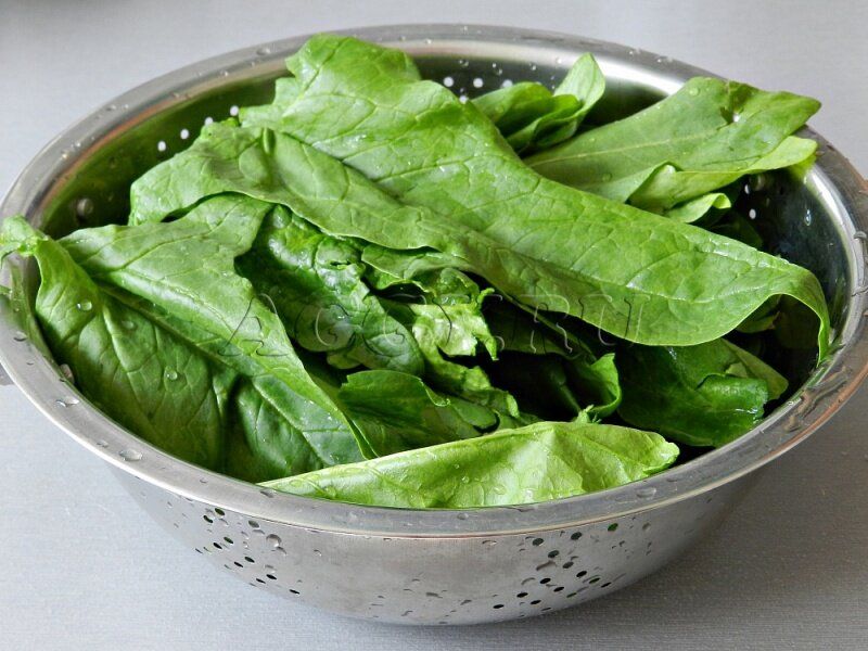 ��� ���������� ������ �� ���� ��� ���� � ������: ���������� ������