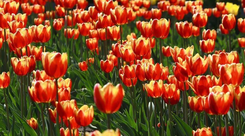 � �������� ������ �������� ������ ���������