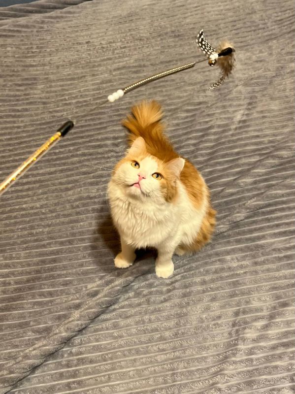 � �� ���������� ����� ������� � ����������? 1 ����� � ������ �������� ���� �����!