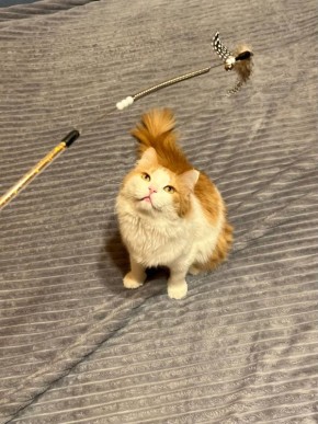 � �� ���������� ����� ������� � ����������? 1 ����� � ������ �������� ���� �����!