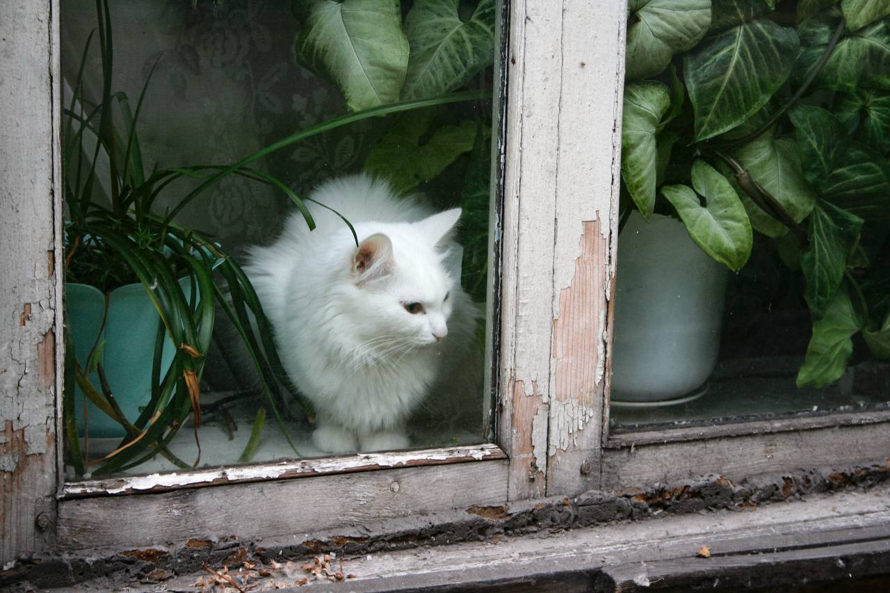 С первым днём весны, Алтайский край! С первым днём весны, Алтайский край!