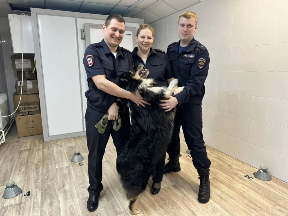 �����-������������: ��� � �������� ������ �������� ���������� ������������