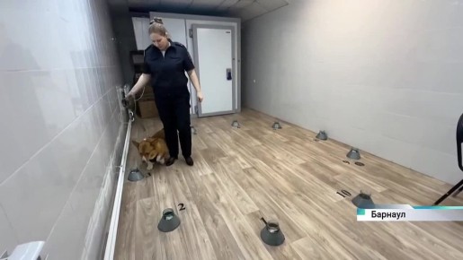 �������� ����������������� ��������� ����������� ���������-������������������ ������ ������� ��� ������ ���������� ���������� �������24� �������� � ������ ��������� ������������� �������� ��� �� ��� ������ �� ����������...