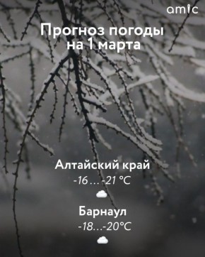 О погоде в Барнауле на первое марта