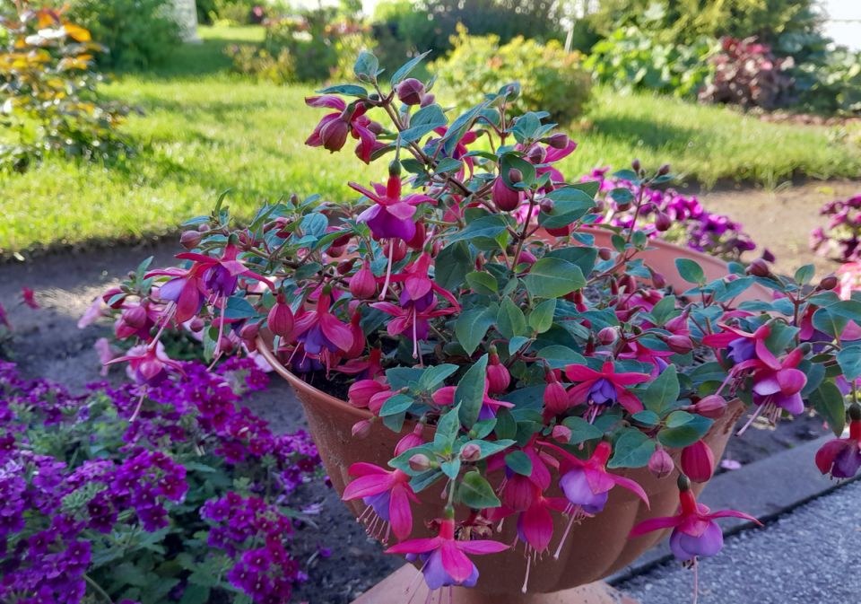 ������: ����������� ������ � ������� �����