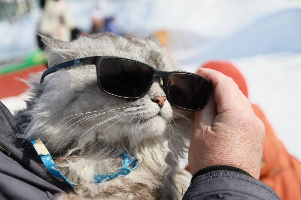 � ������ ���� �����, ��������� ����!