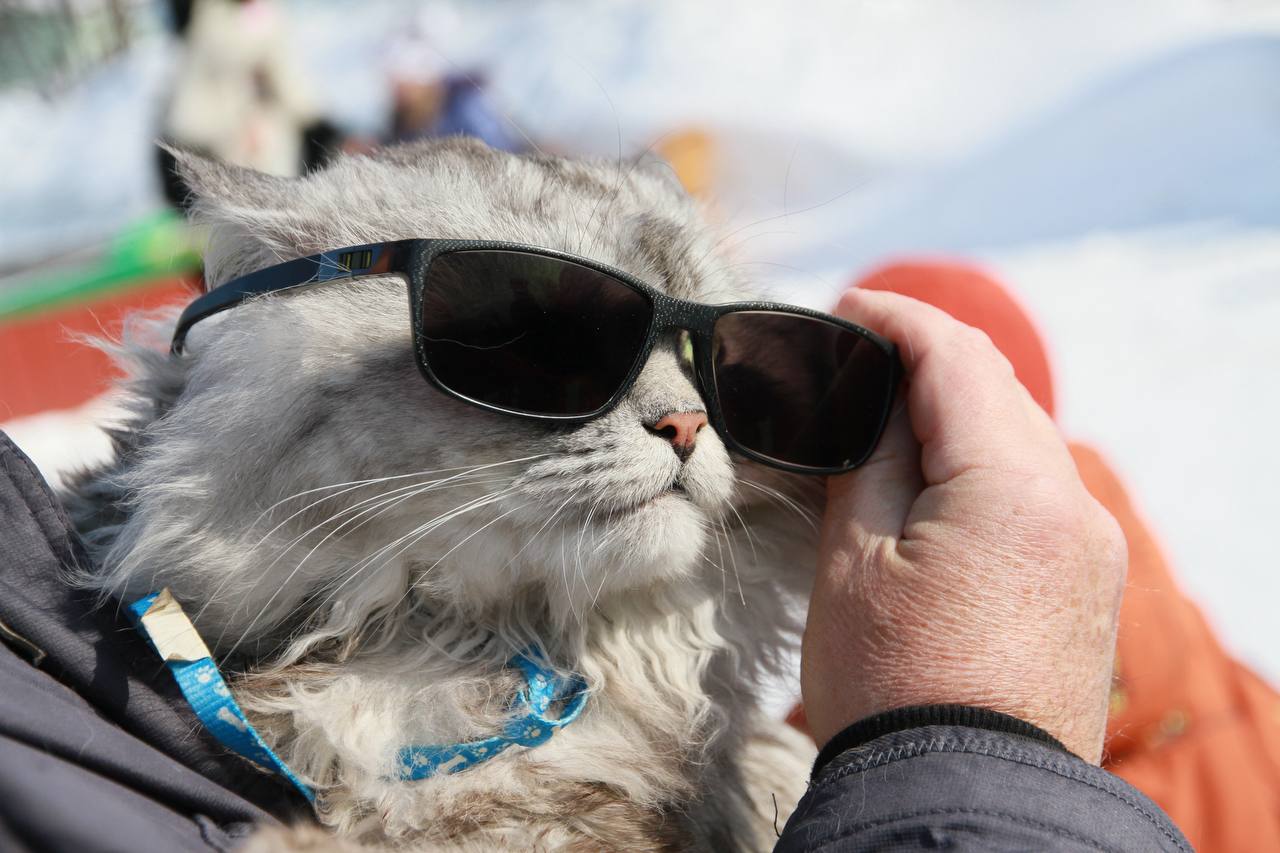 С первым днём весны, Алтайский край!