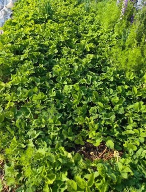 ��� ����������� �������� � ����: ������� ����������� ��������