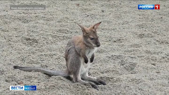 ��������� ��������� �� ������������� �������� ���������� � ���������� �����