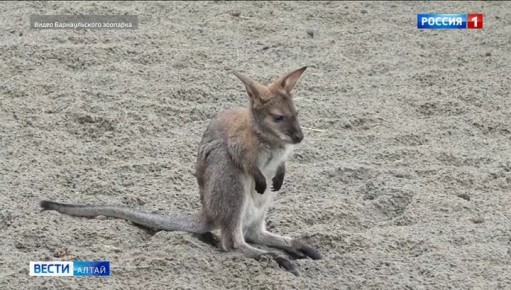 ��������� ��������� �� ������������� �������� ���������� � ���������� �����