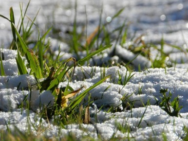 Потепление наконец-то идёт в Алтайский край