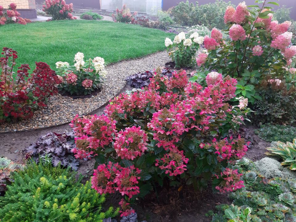 ��� ����� �������� ���� ����: ��� ������, � ��� �� �������� ������� ������