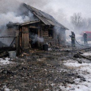 На пожаре в Чарышском районе погиб домашний скот