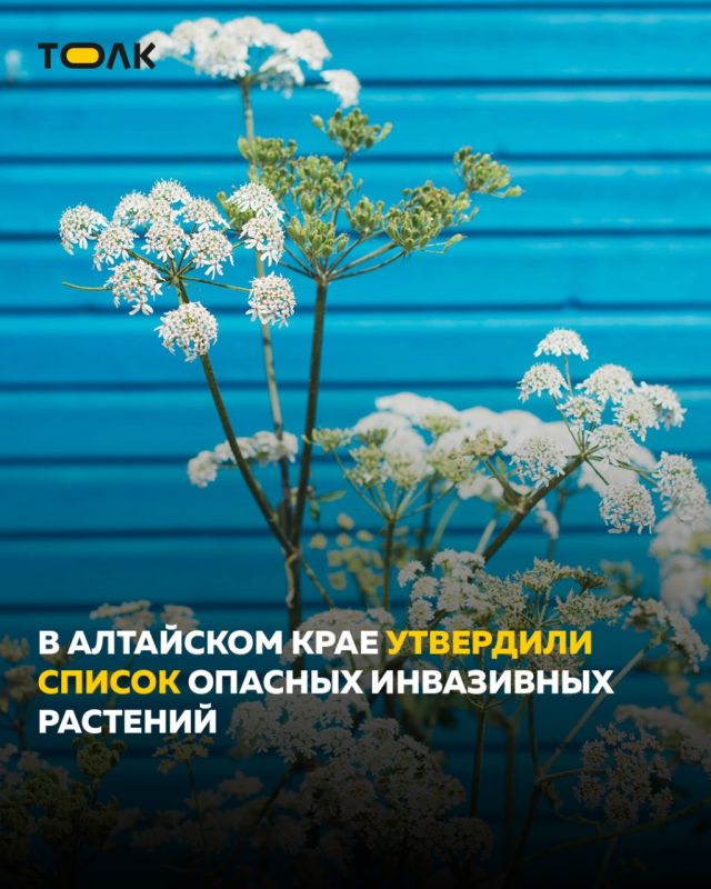 �������� ������� �������� ��������� � ��������� ����