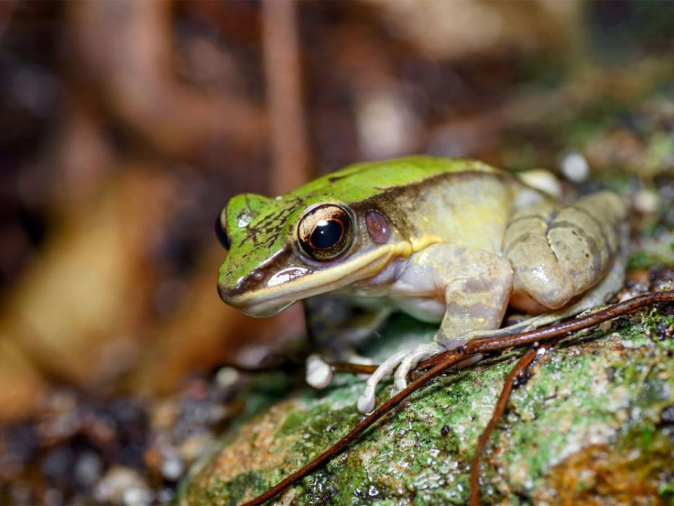 ��� ������� ������ � ���: �������� ������� ��������� �������