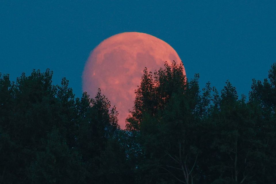 �������� ������� ������ ������� �������� ����