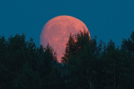 �������� ������� ������ ������� �������� ����