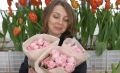 Жительница Косихинского района выращивает 35 видов тюльпанов для нескольких регионов России