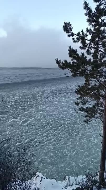 �������� ����� ��������� �������� ����������