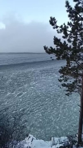 �������� ����� ��������� �������� ����������