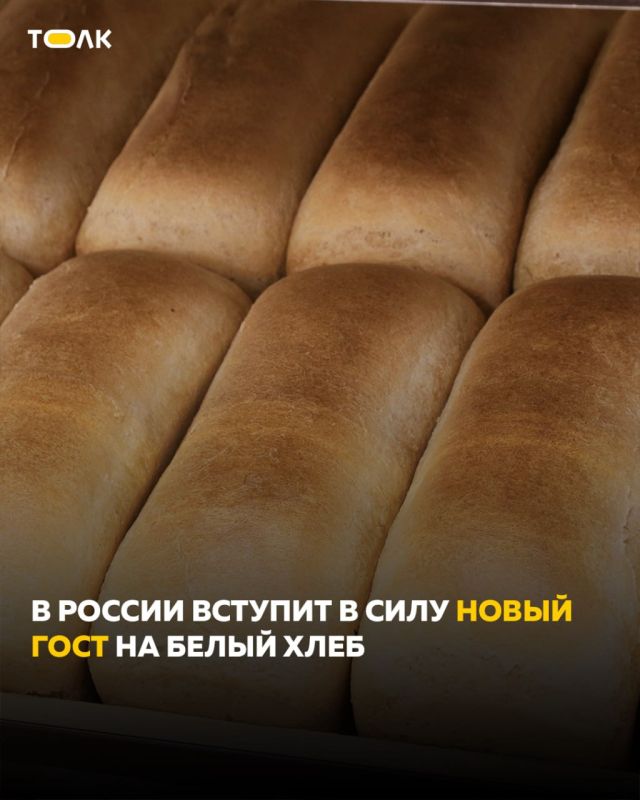 ����� ���� �� ����� ���� ����� ����������� � 1 ������