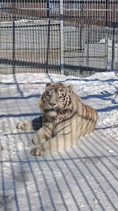 ����� ����������� ���� ���� ������� �� ���������� ��������