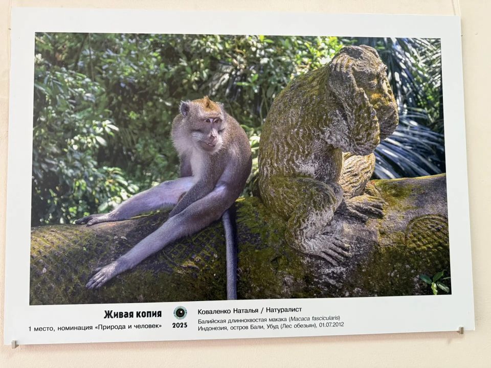 ����� �������������� �����������ࠫ��� ������� ������� ������� �����Ӡ