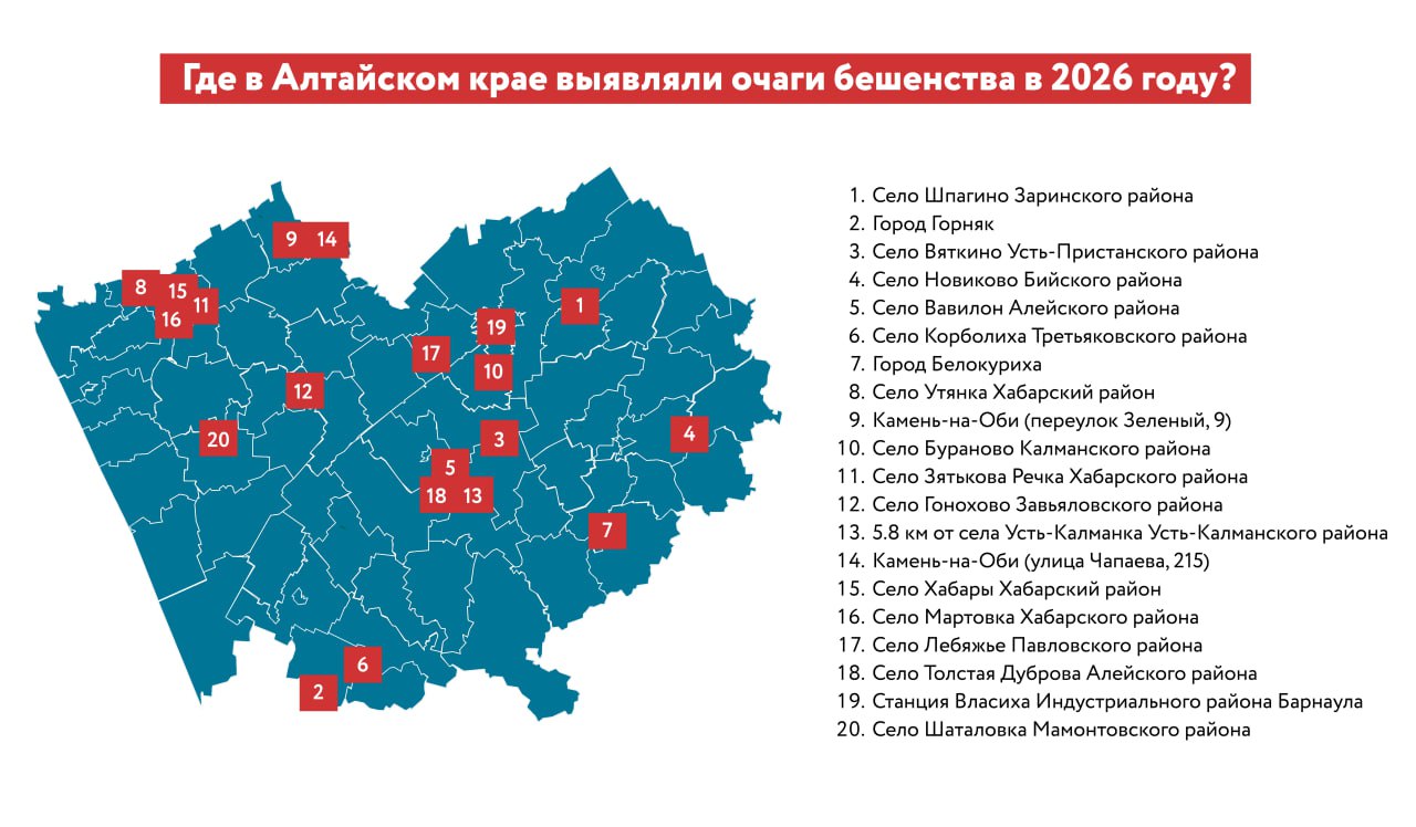 В 2026 году в Алтайском крае зафиксировали 20 очагов бешенства