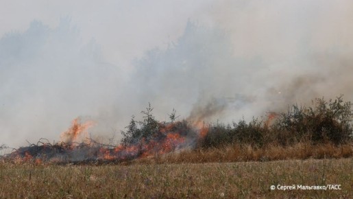 Наиболее сложная ситуация с ландшафтными пожарами весной прогнозируется в Хакасии, Алтайском крае, Новосибирской и Омской областях