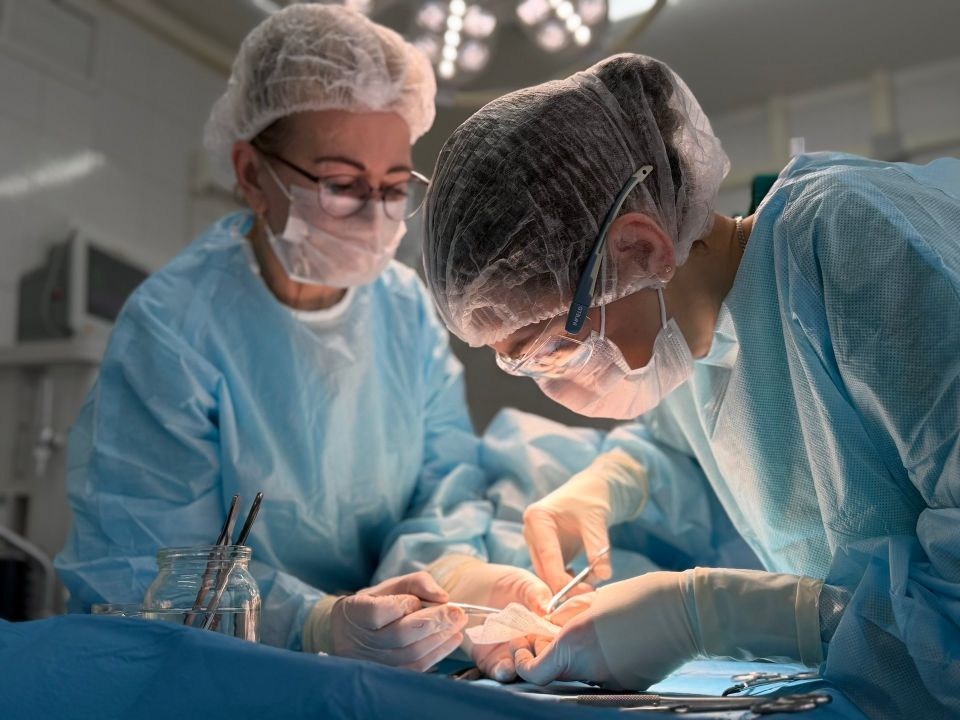 ���������� ������� ���������� ������ ���