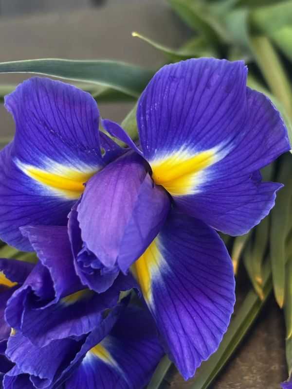 ��������� �������� ���������� ���� ����� ��������� �8������