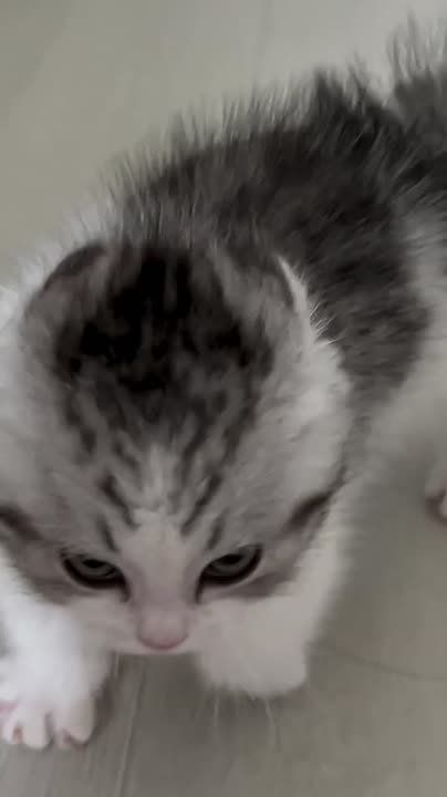 ������ ����, ��������� ����!�