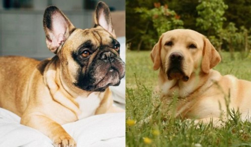 ��������� ������: 13 �����, ������� ����� ����� ��������� �����������