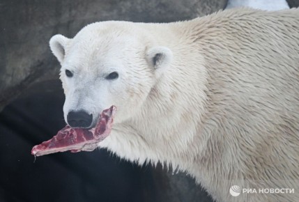 "��� ����� ������� � ���������� ��������� ����� - ��� �� ������ ��������, ��� ��������"