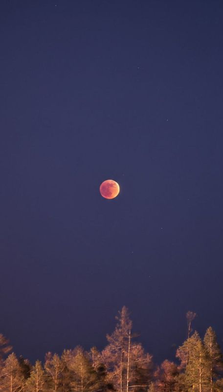 ������ ���������� ���� ������� �� ���� "�������� ����"