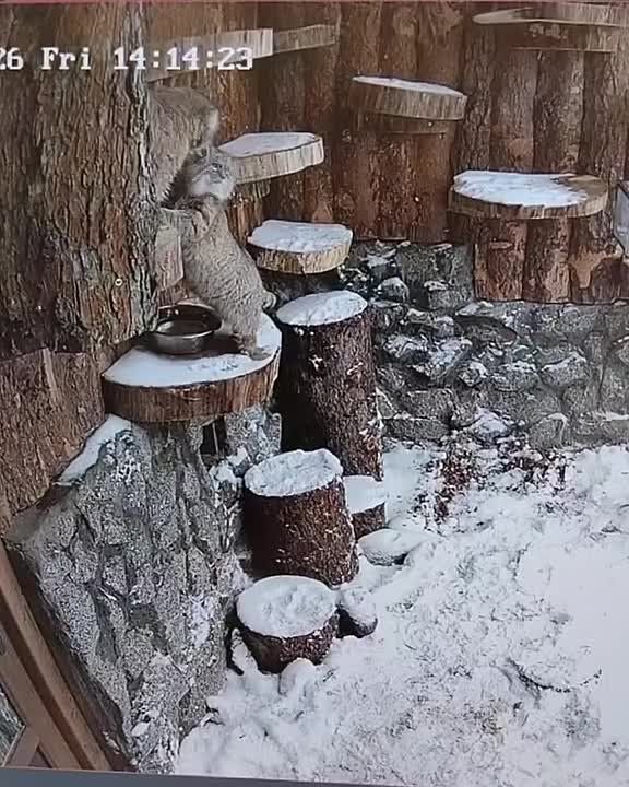 ������ �� � ���� ������������� � ������������ ������ ������� ������ � ������ ���������� � ���� ������, ��� � ���� ����� �������