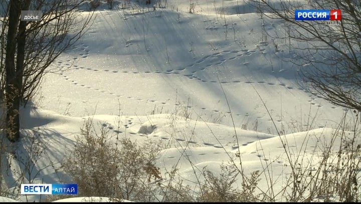 � ��������� ���� ��������� ������ ������ ��������� �� ������� �����