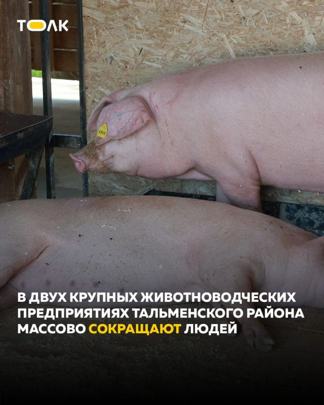 � ���� ������� ���������������� ������������ ���� ������� ��������� �����