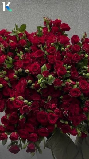 ����� ����� ����� �������� ���������� ���������� ���� ��8������?�