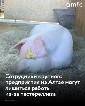 ��������� ��������������� ����������� "�������" ������������ ������ �������� ����������� �� ���������� ��-�� ������� ������������