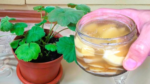 ��� ������� ������: ����������� ������ � ������������� ���������