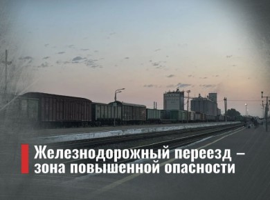 ��������������� ������� � ���� ���������� ���������